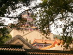 P1020633