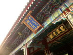 P1020652