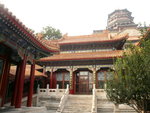 P1020673
