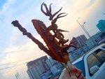 CIMG0021