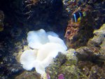 CIMG0113