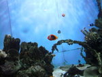 P1020475