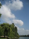 IMG_1485