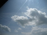 IMG_1491