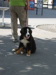 IMG_1629