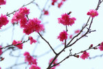 01_IMG_2705a