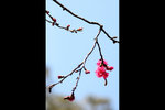 09_IMG_2796a