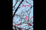 11_IMG_2822a