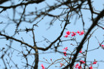13_IMG_2816a