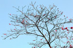 14_IMG_2828a