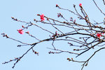15_IMG_2740a
