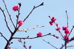 16_IMG_2839a