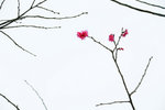 24_IMG_3964a