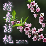 2013_peach_cover