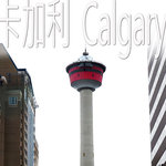 calgary cover