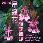 2024 bell flower cover