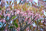IMG_0031