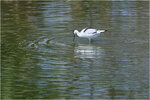 IMG_0075