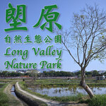 LOng Yuen cover copy