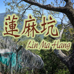 Lin Ma Hang Cover
