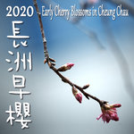 eraly cherry cover 2