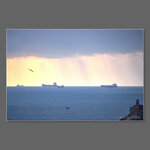 IMG_5558 fb