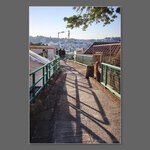 IMG_7151a