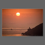 IMG_7388_071446