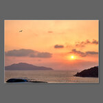 IMG_7468_072736