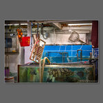 IMG_7749