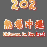 cover 195