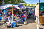 IMG_6556a