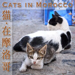 MA_Cats_cover