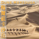 05_Merzouga_ft_cover