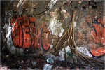 23_DSC00985