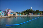 IMG_7384