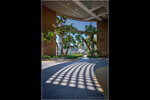 IMG_7634d