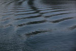 IMG_4424