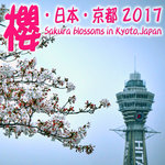 sakura kyoto cover