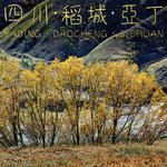 sichuan_cover_2