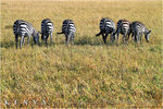 2010_Kenya_073