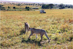 2010_Kenya_077