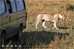 2010_Kenya_079