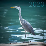 2020_egret_title2