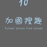 cover 10