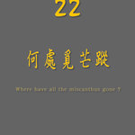 Individual cover 22