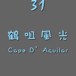 Individual cover 31 cap D