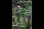 11_IMG_1663a