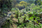21_L1010431a