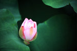 17_IMG_4247